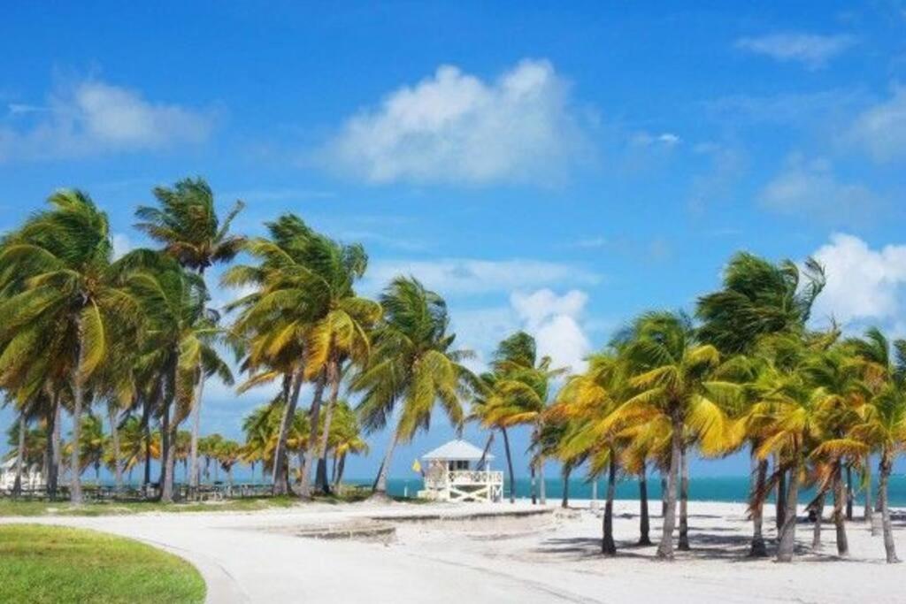 My Lovely Home In Miami 15 Minutes From The Beach Εξωτερικό φωτογραφία